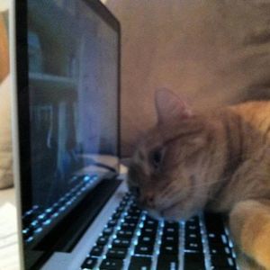 Meet your Posher, Beth